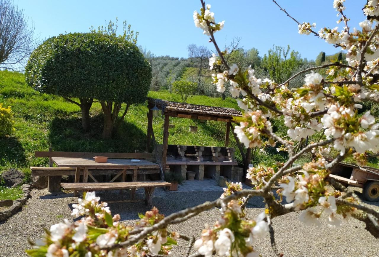 Casa Elisa Daire Montaione Dış mekan fotoğraf