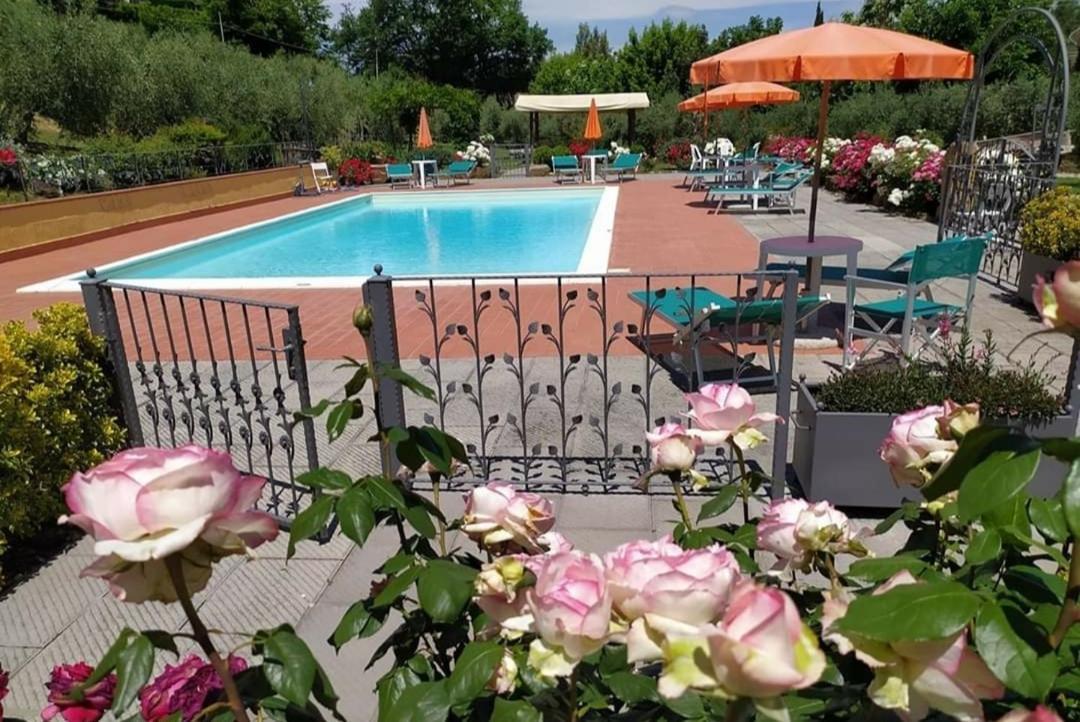 Casa Elisa Daire Montaione Dış mekan fotoğraf