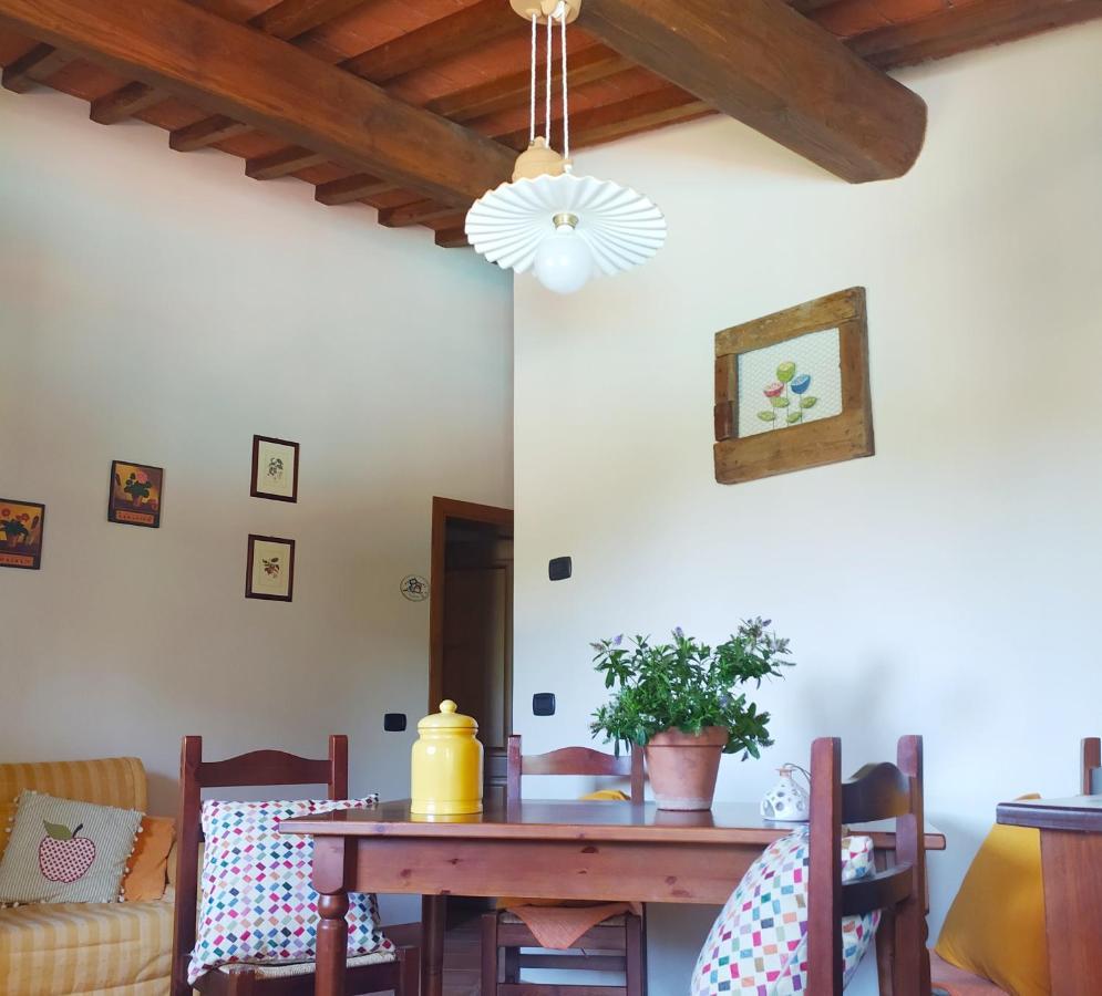 Casa Elisa Daire Montaione Dış mekan fotoğraf