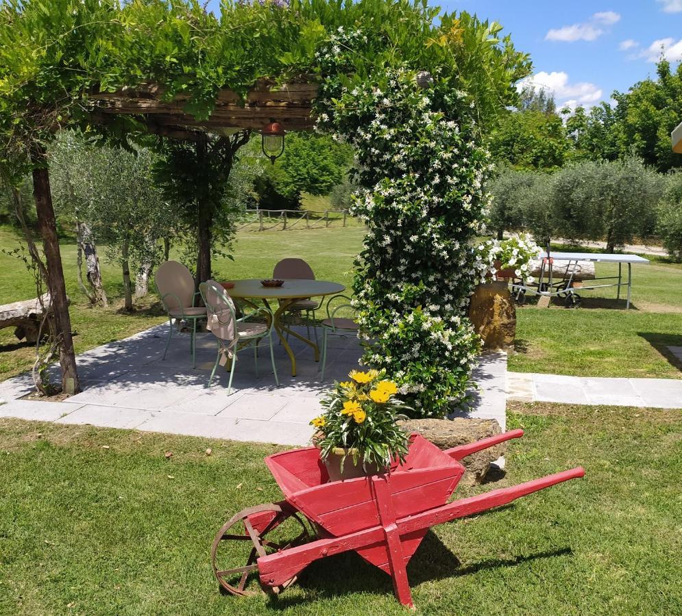 Casa Elisa Daire Montaione Dış mekan fotoğraf