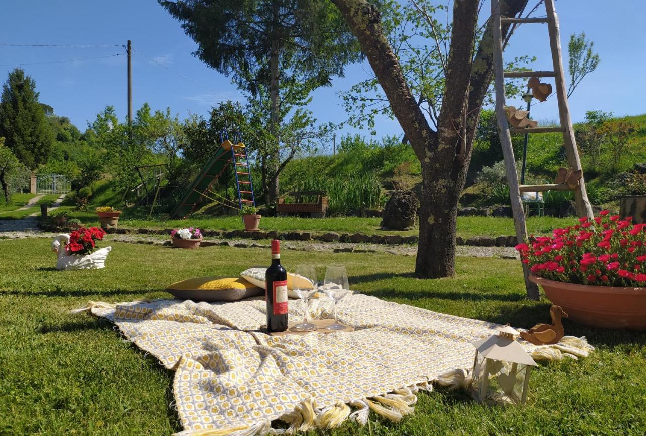 Casa Elisa Daire Montaione Dış mekan fotoğraf
