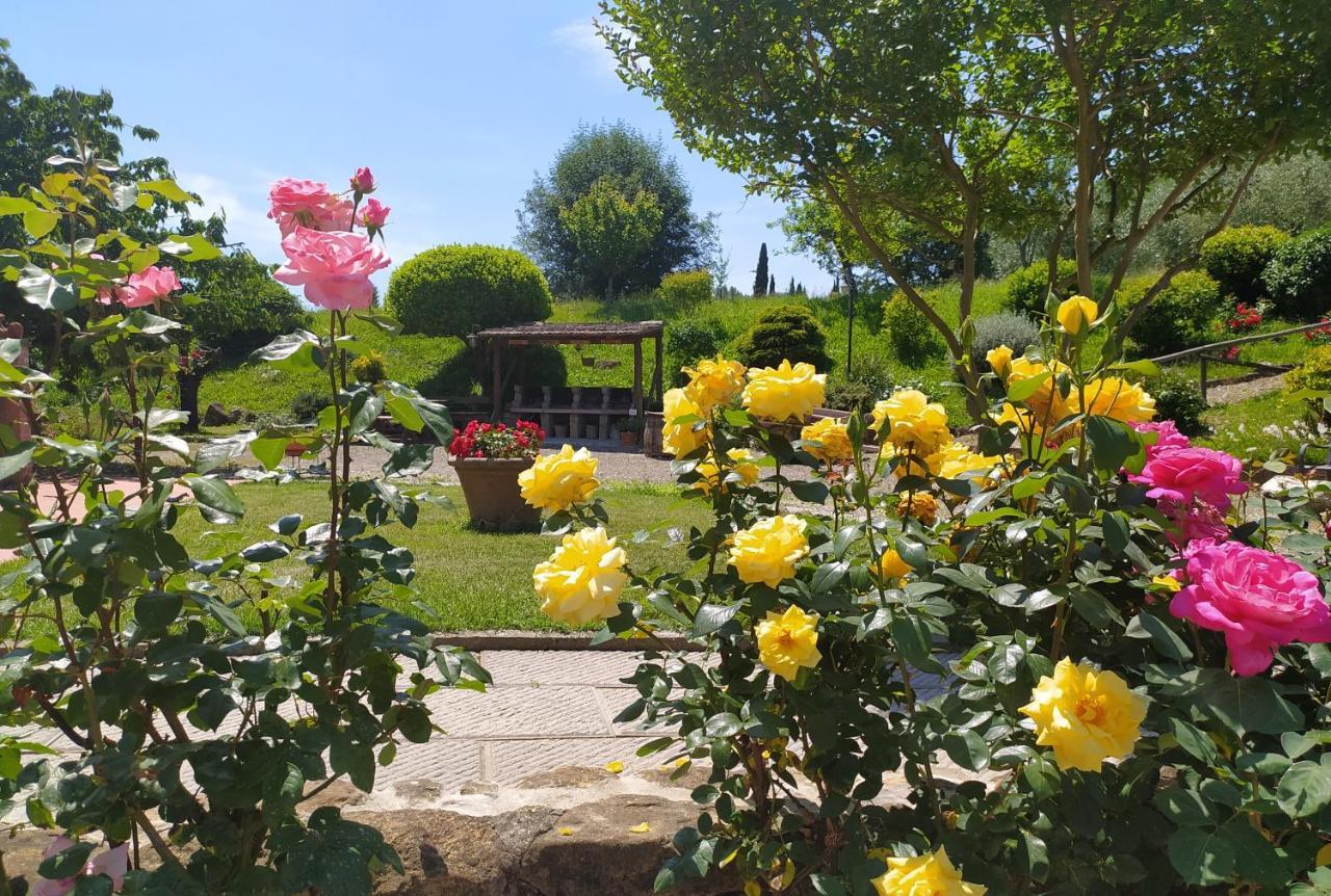Casa Elisa Daire Montaione Dış mekan fotoğraf